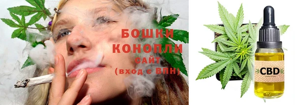 прущие грибы Верхний Тагил