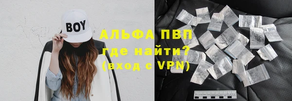 прущие грибы Кодинск