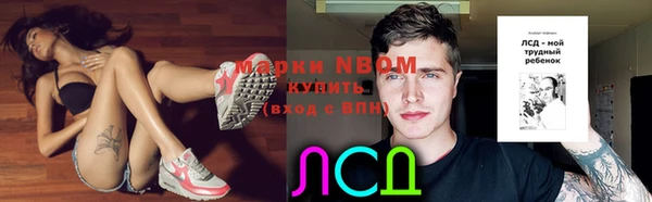 индика Верея