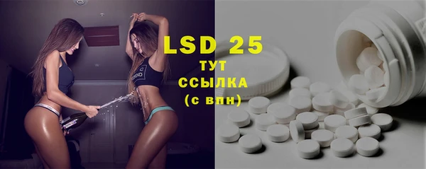 прущие грибы Верхний Тагил