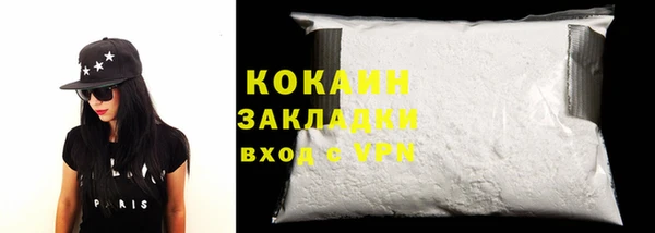 прущие грибы Верхний Тагил