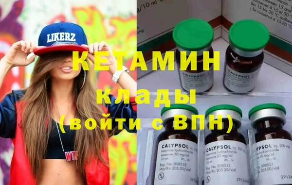 индика Верея