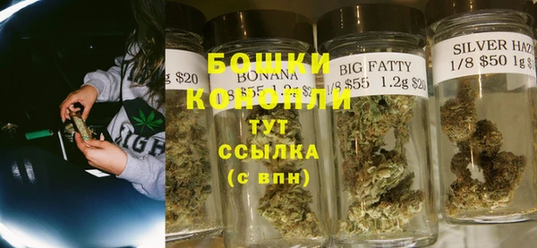 индика Верея