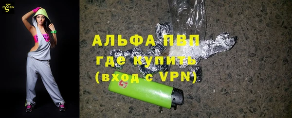прущие грибы Верхний Тагил