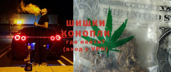 индика Верея