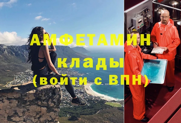 прущие грибы Верхний Тагил