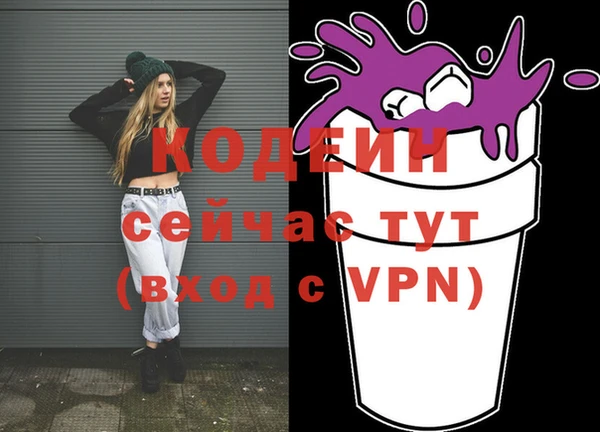 прущие грибы Верхний Тагил