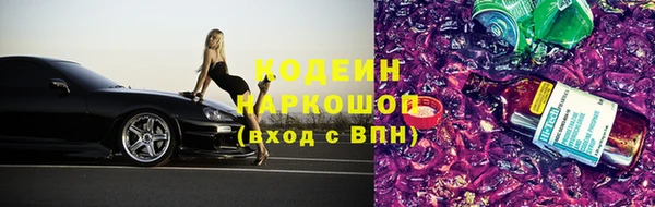 индика Верея