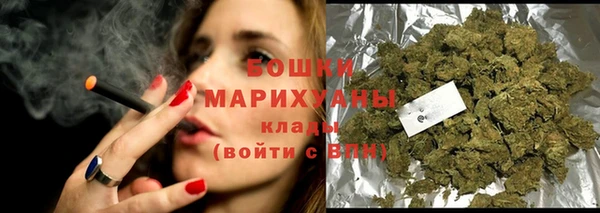 индика Верея